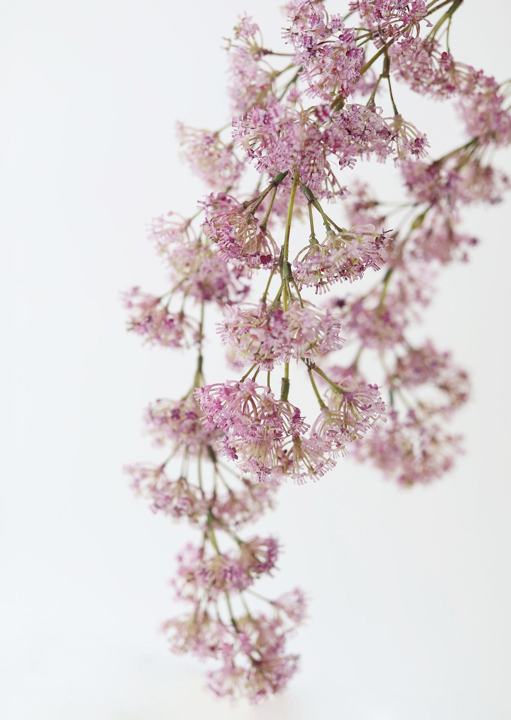 Hanging Laurel Flowers in Pink Purple