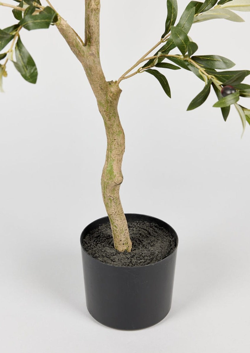 Faux Olive Tree in Pot | Artificial Trees at Afloral.com