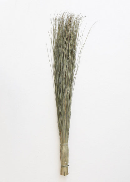 Afloral Preserved and Dried Grasses Natural Green Dune Grass