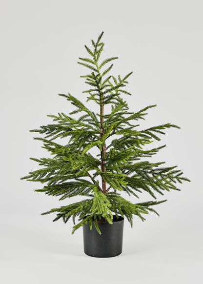 Afloral Winter Decor Potted Real Touch Norfolk Pine Tree