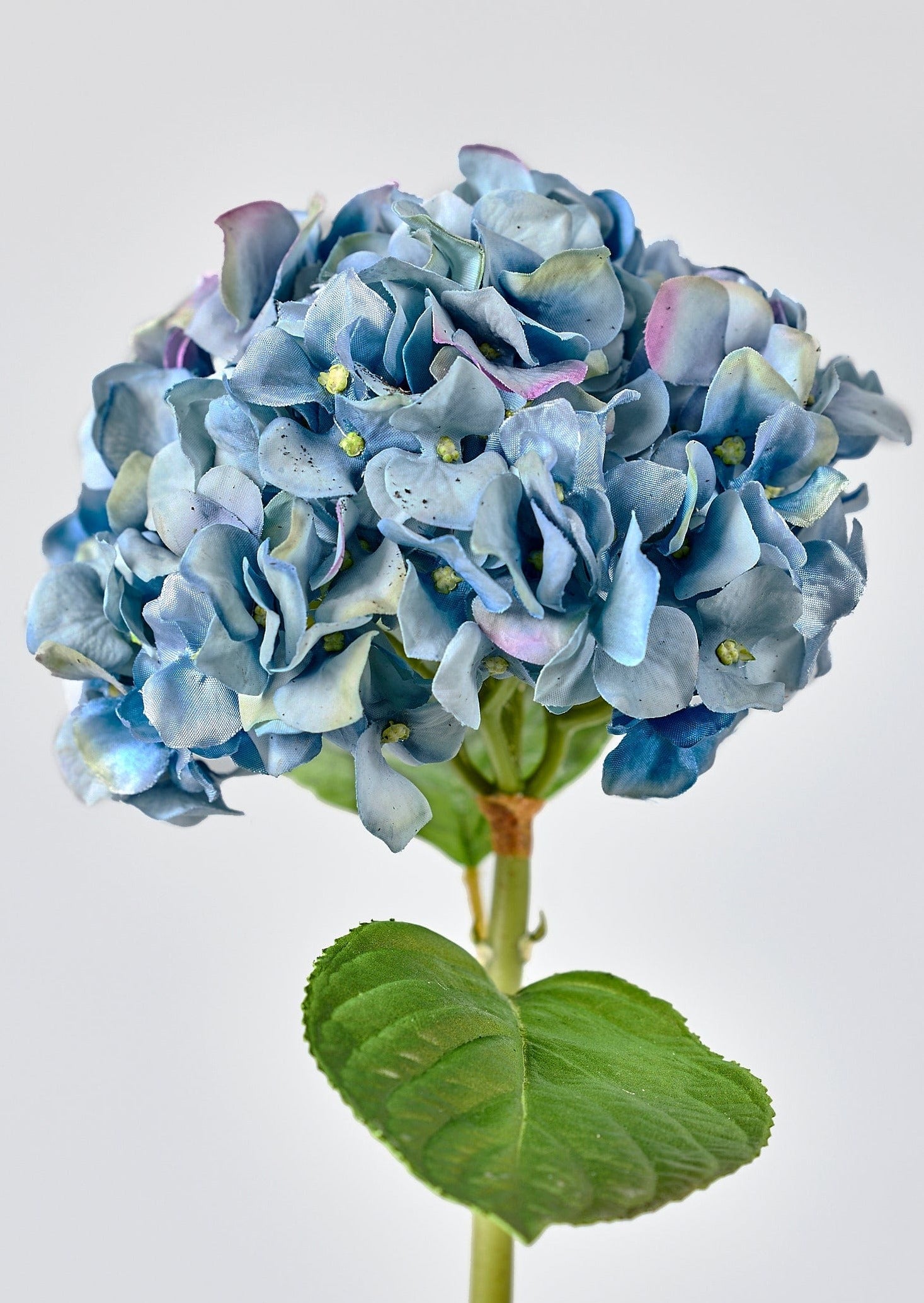 Close Up of Afloral Blue Real Touch Hydrangea Flower Stem