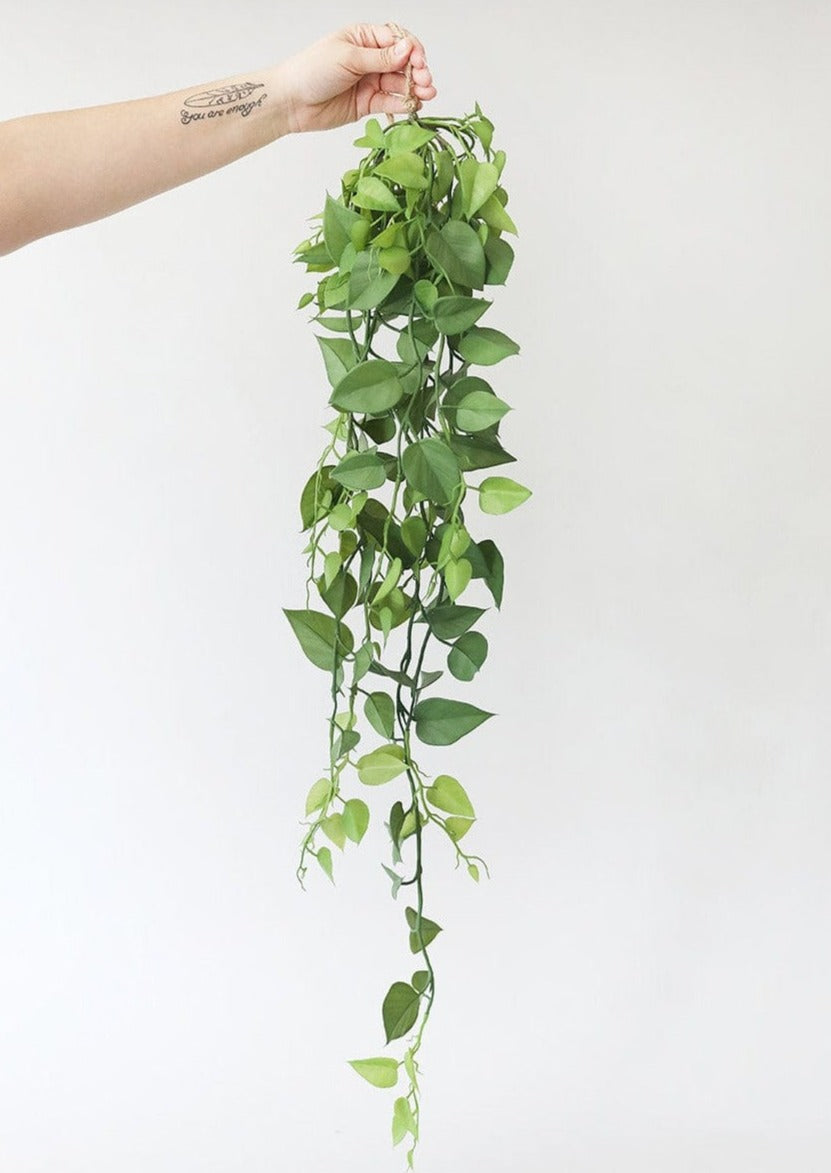 Artificial Plants Hanging Philodendron Bush at Afloral