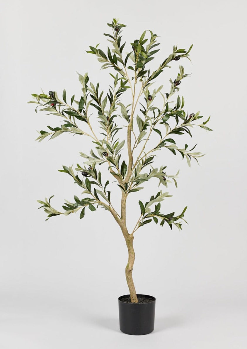 Artificial Potted Olive Tree at Afloral