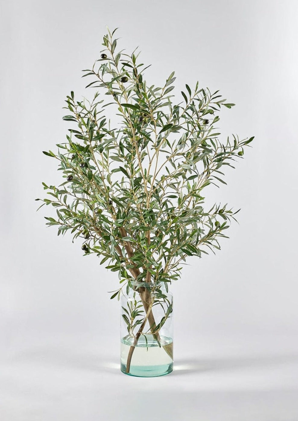 Olive Branch in Glass Vase Shop Faux Olive Branches at