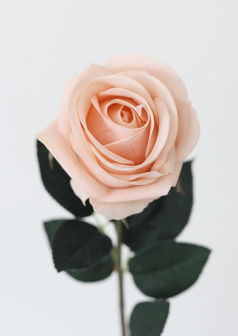 Peach Pink Real Touch Open Rose