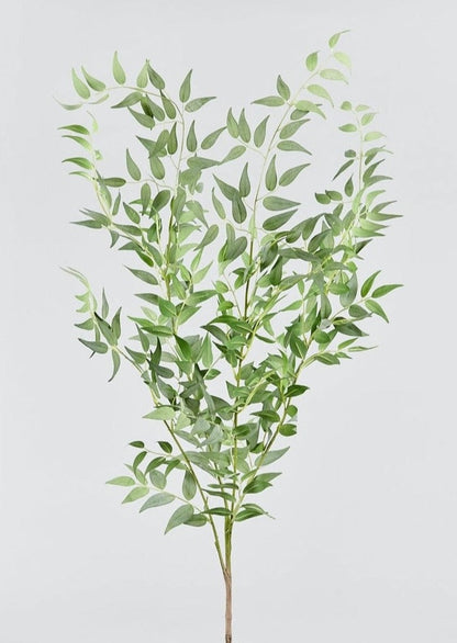 Tall Green Artificial Ruscus Branch at Afloral