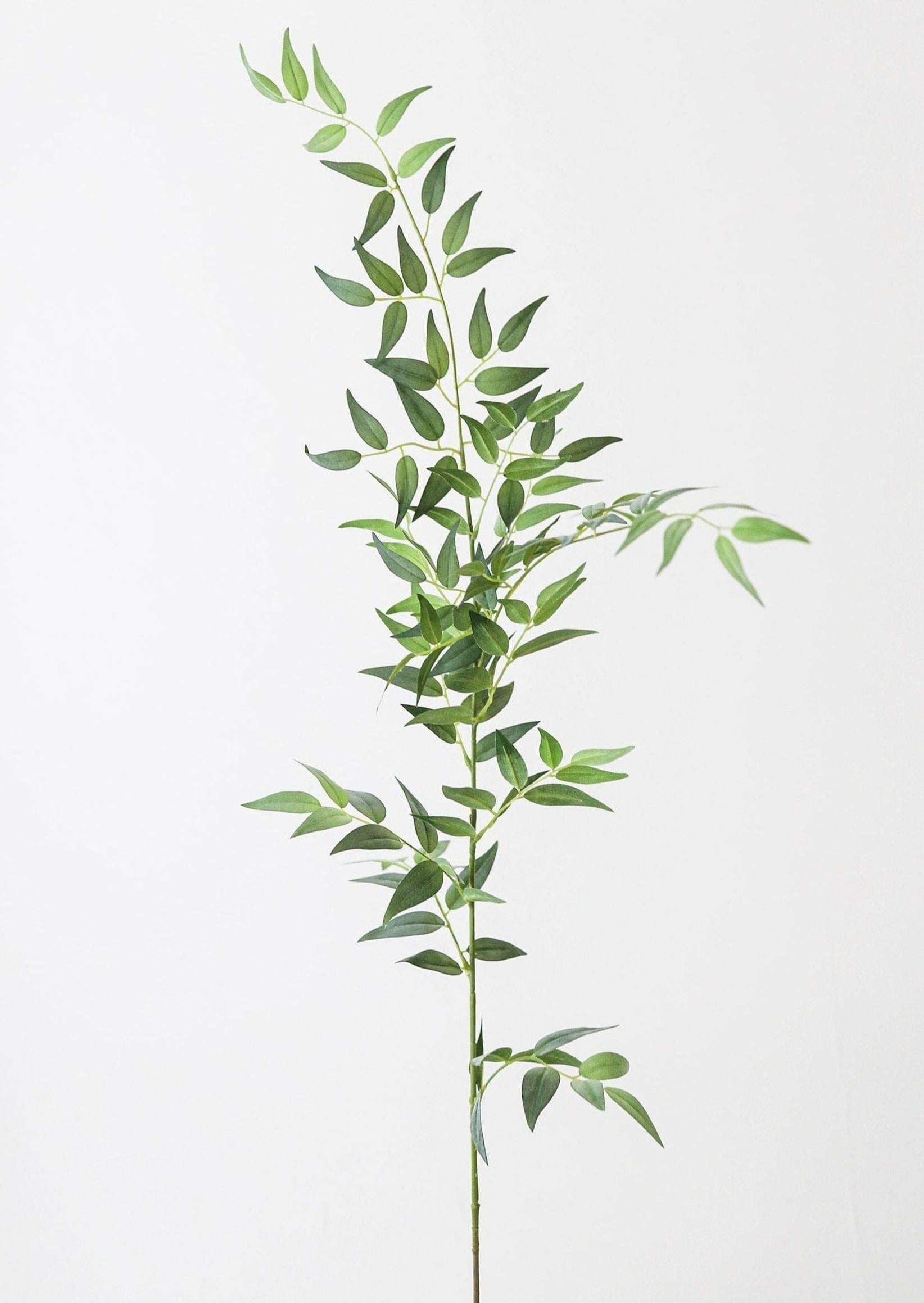 Fake Leaves Tall Italian Ruscus Leaf Branch at Afloral