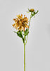 Terracotta Mauve Mum Flower Stem