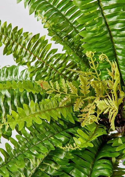 Artificial UV Protected Fern Plant in Afloral Close Up View