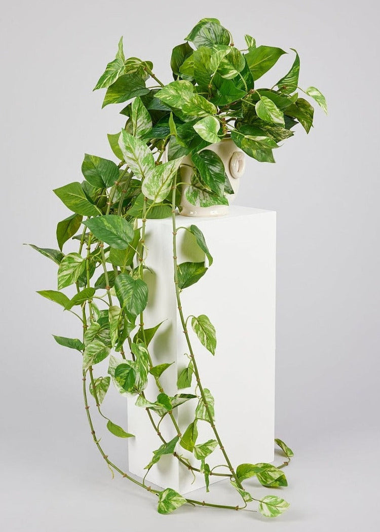 Hanging Real Touch Pothos and Artificial Plants at