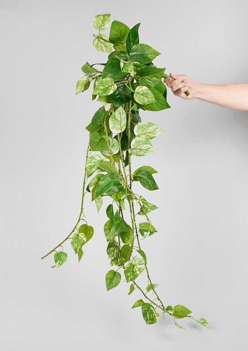 Variegated Natural Touch Green Fake Pothos Plant at Afloral
