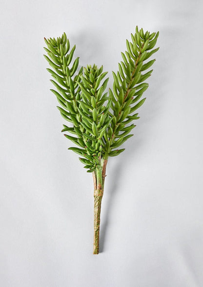 Fake Plants Green Artificial Succulent