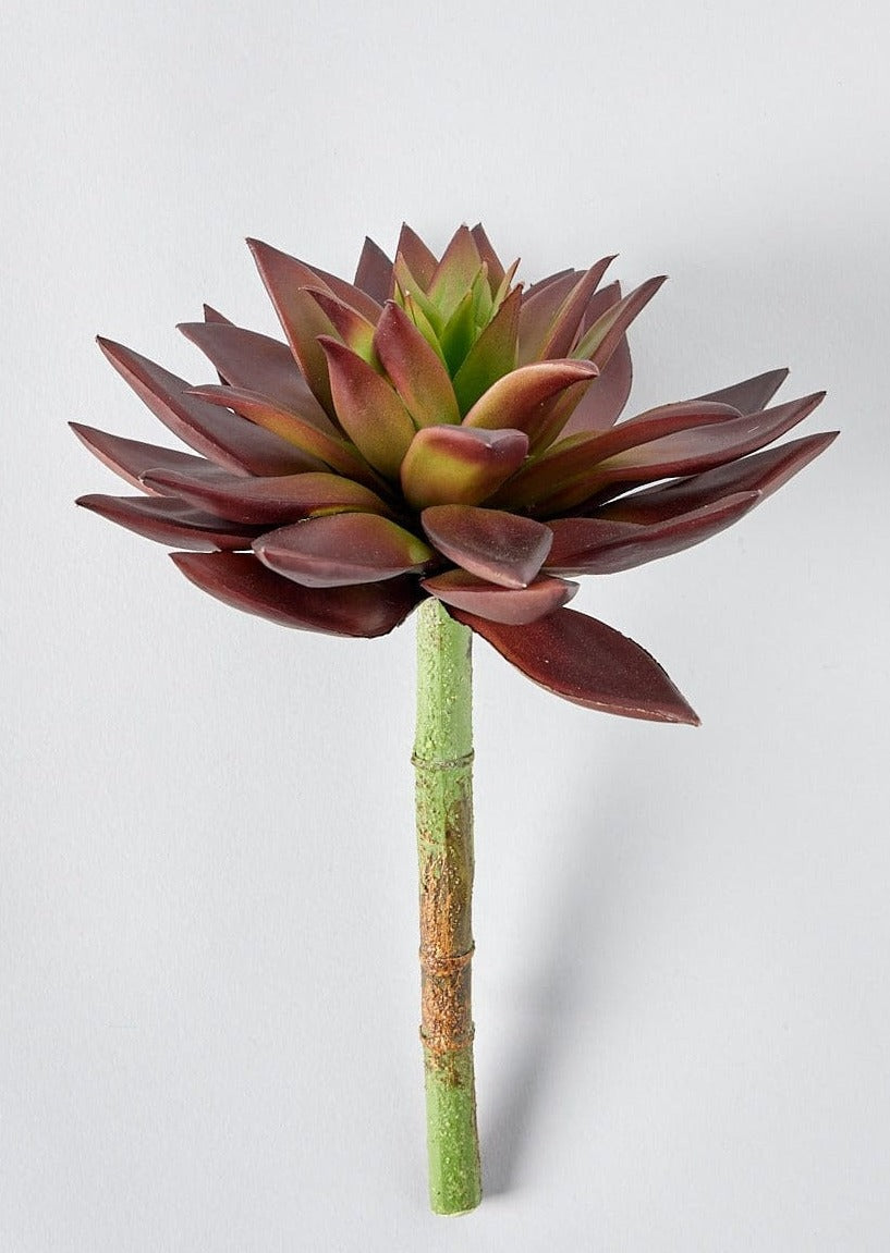 Artificial Succulents Burgundy Star Succulent Pick