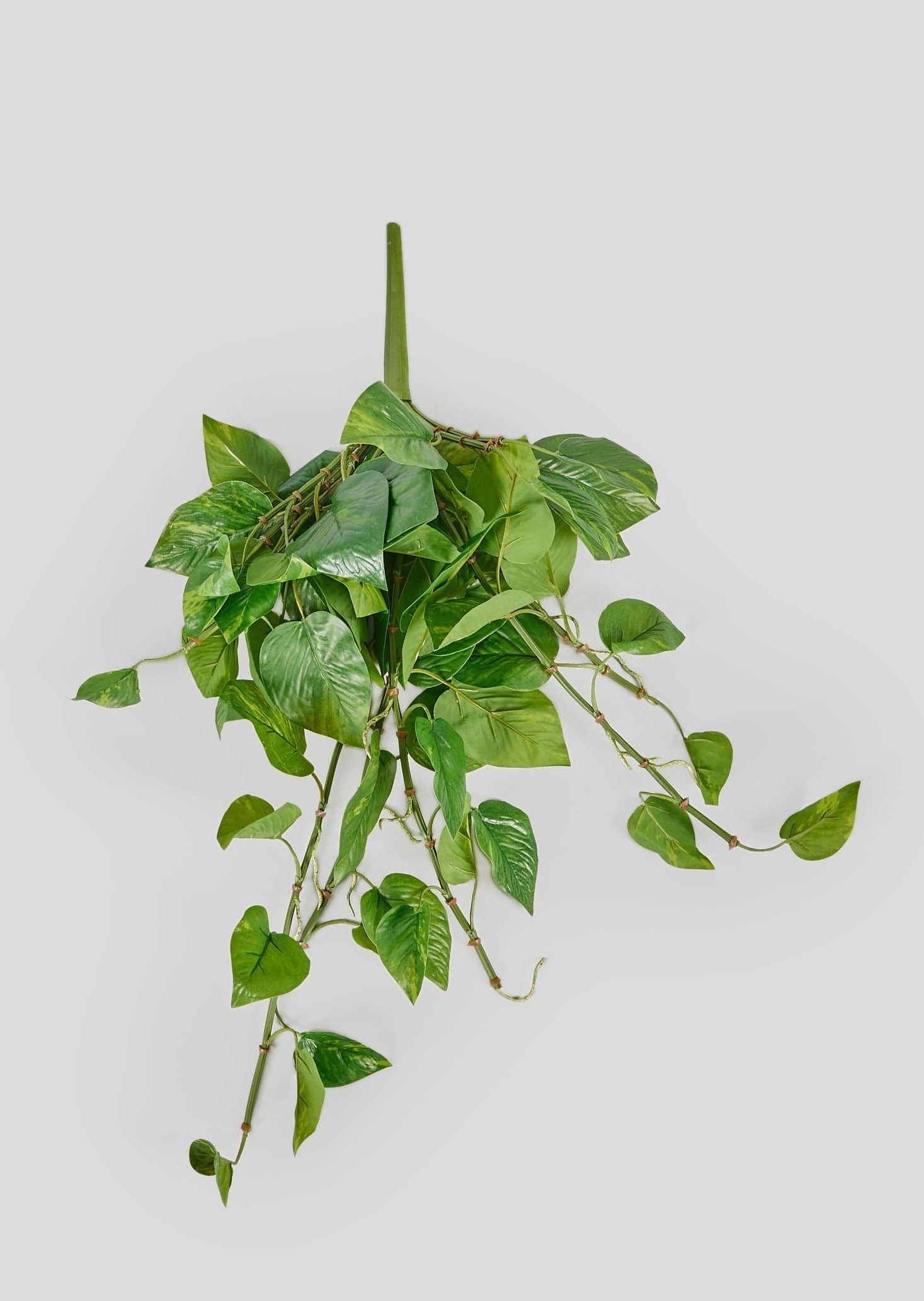 Premium Artificial Hanging Plants Afloral Pothos