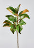 afloral Artificial Branches Tall Green Faux Magnolia Branch