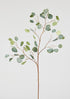 Afloral Tall Faux Branches Silver Dollar Eucalyptus Leaves