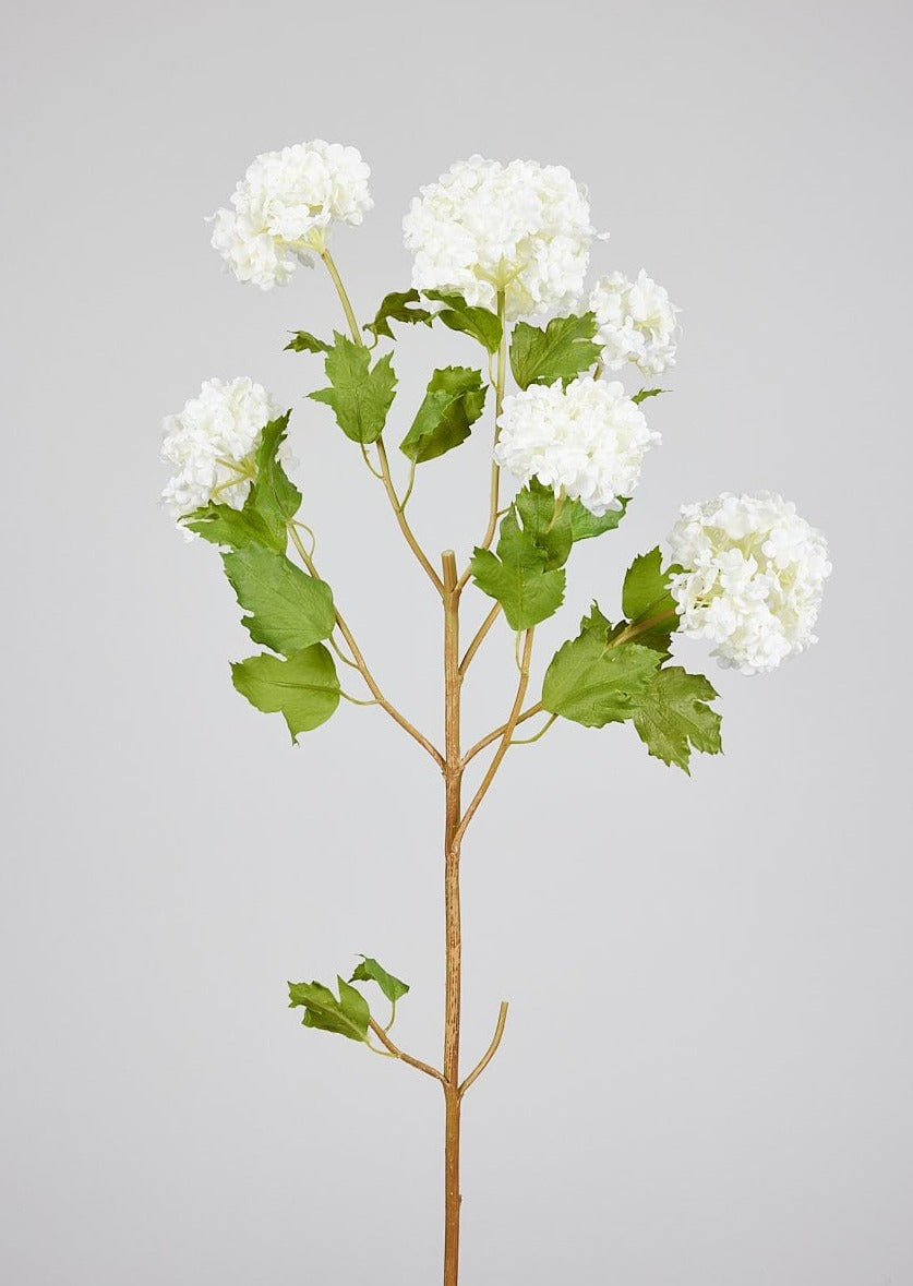 Cream White Artificial Snowball Flowers at afloral