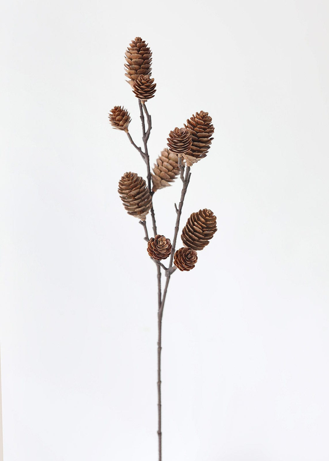 Brown Pine Cones on Stem for Holiday Decor at Afloral