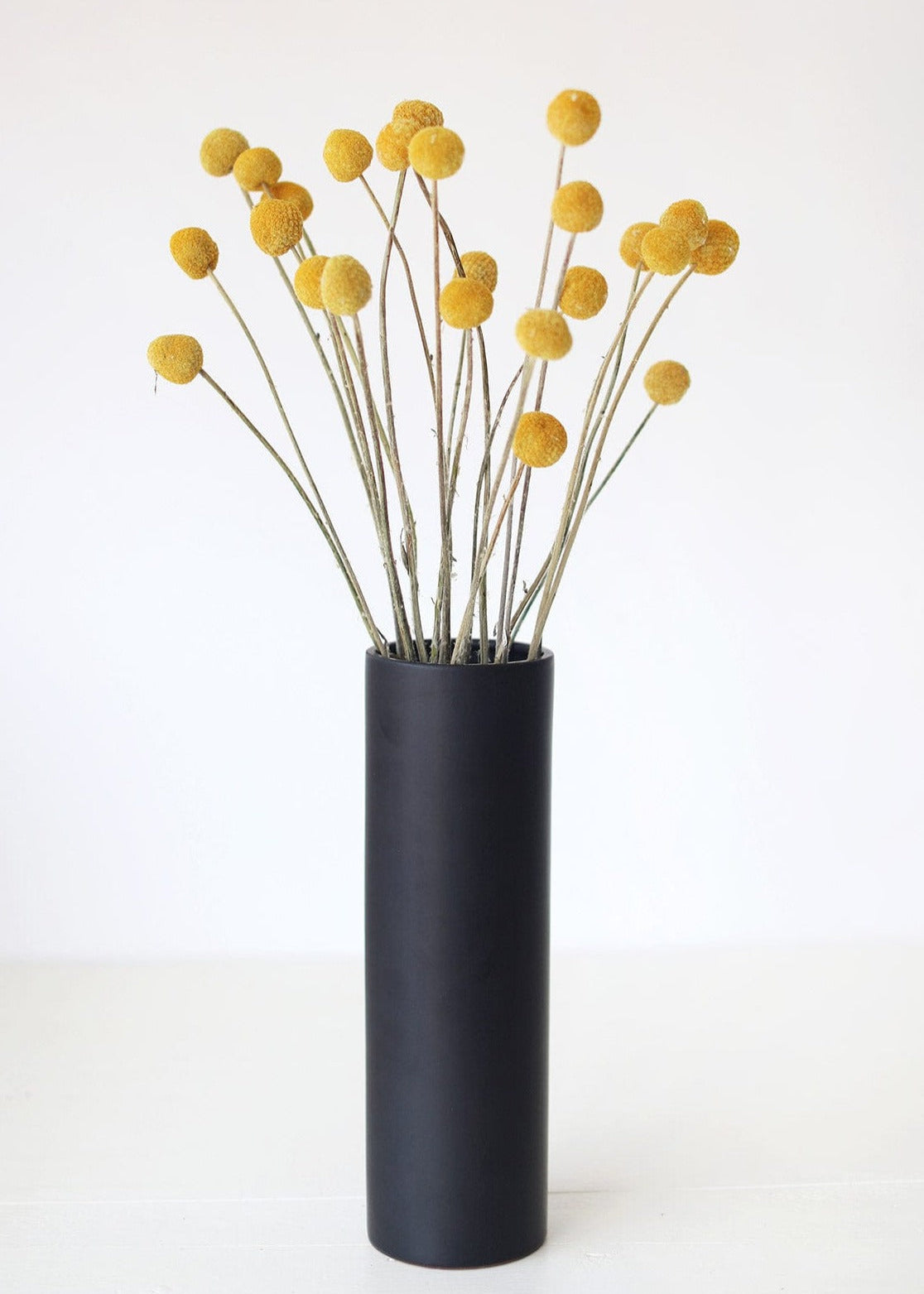 Dried Yellow Billy Balls in Black Ceramic Vase at afloral