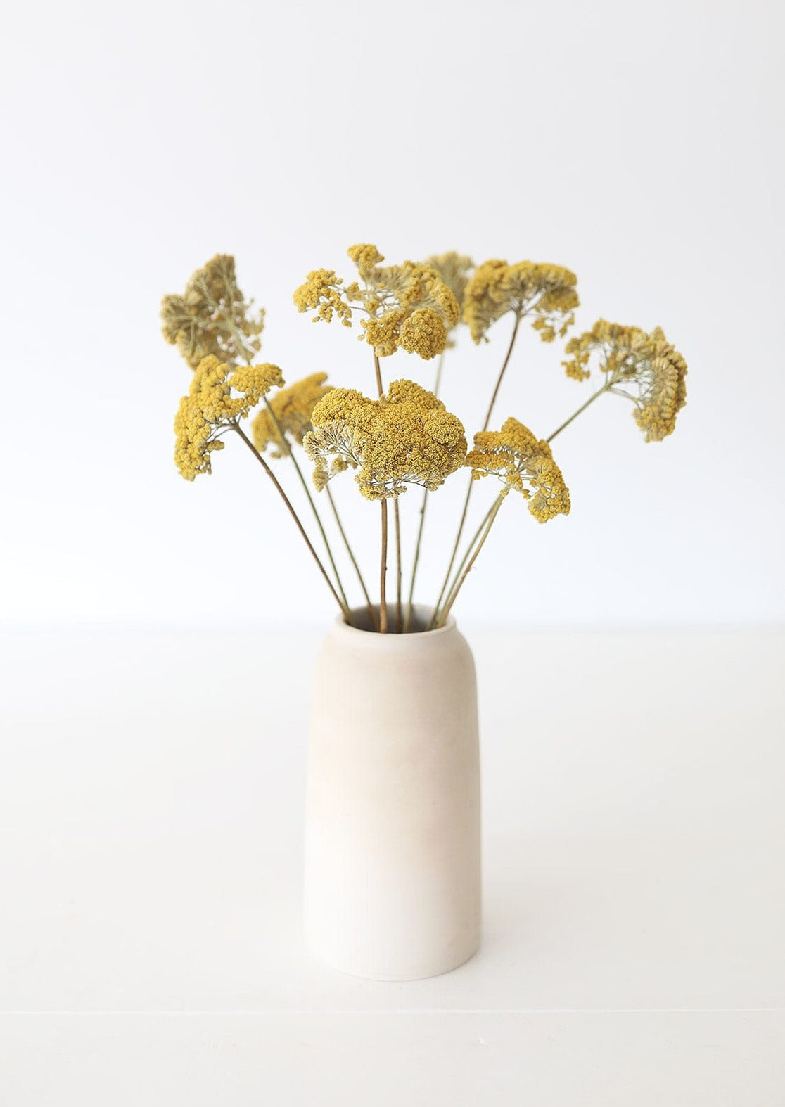 Dried Yellow Yarrow Flower Stems in Vase at Afloral