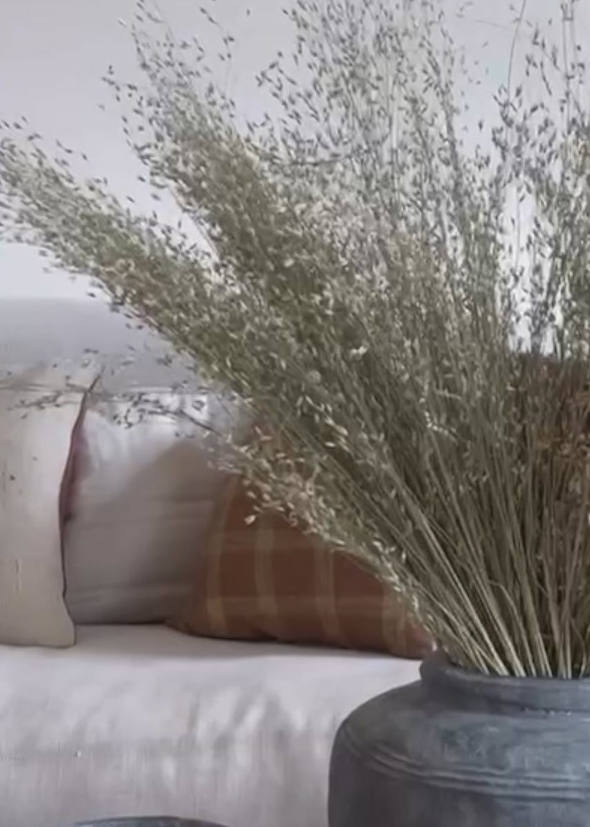 Afloral Video of Dried Indian Rice Grass 