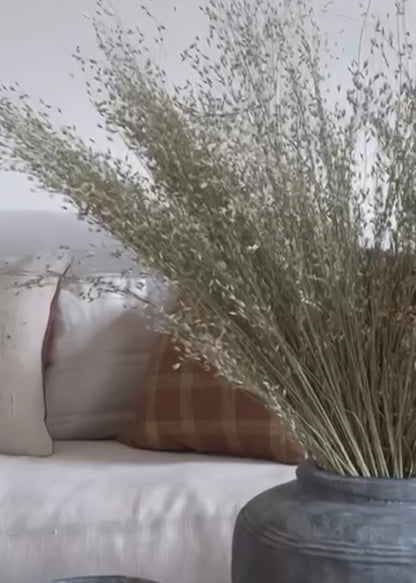 Afloral Video of Dried Indian Rice Grass 