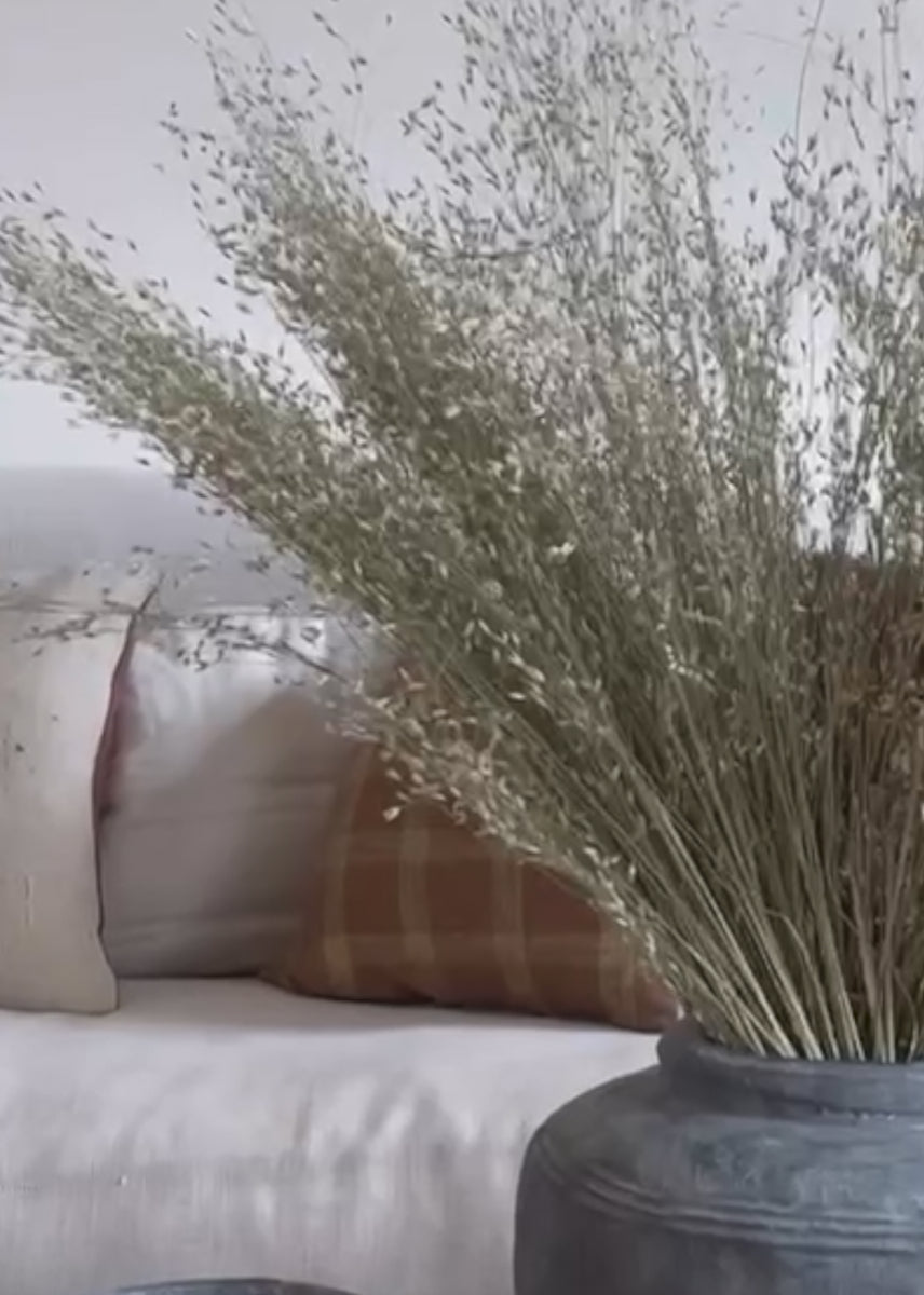 Video of Dried Indian Rice Grass 