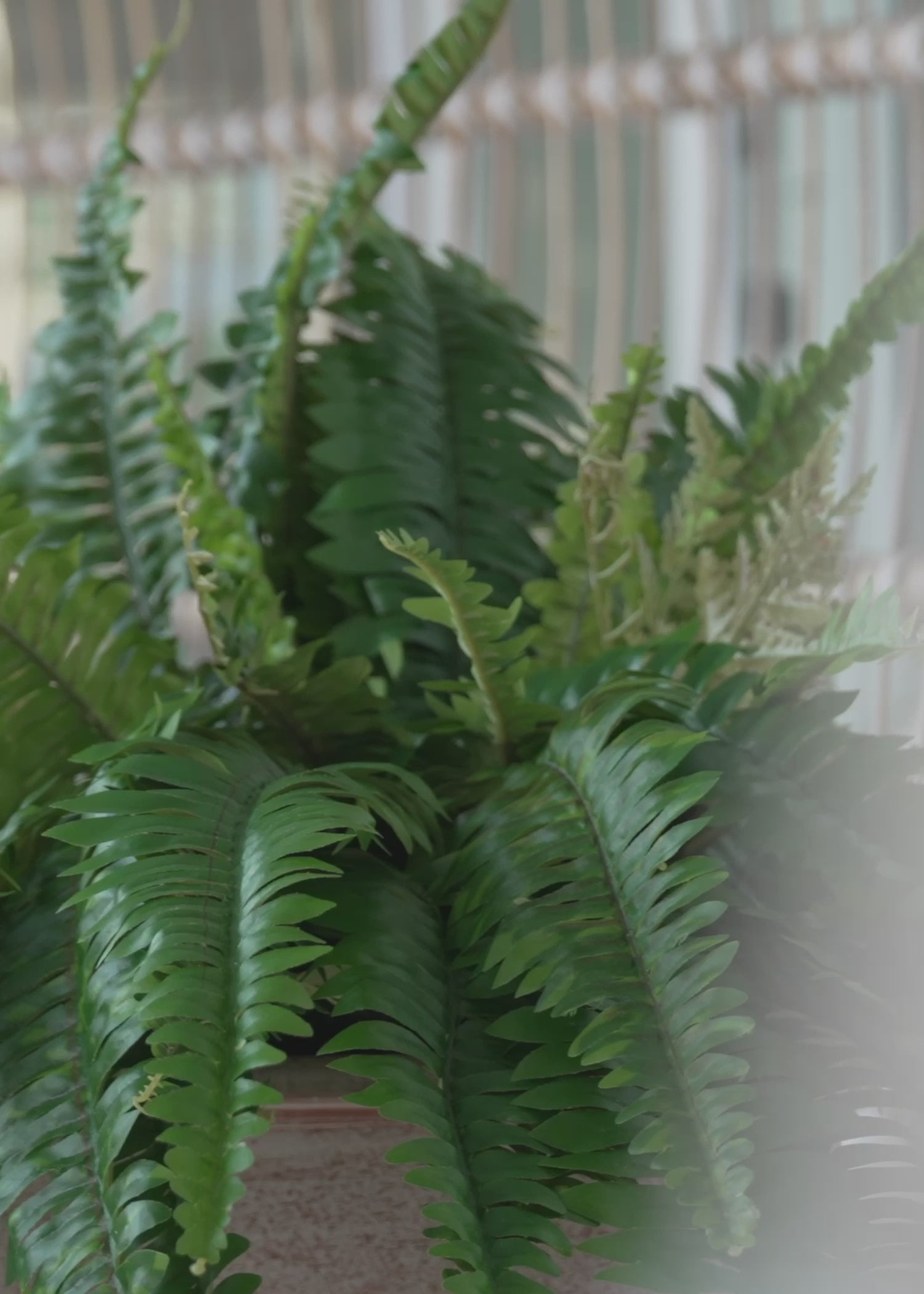 Afloral-UV-Protected-Fake-Boston-Fern