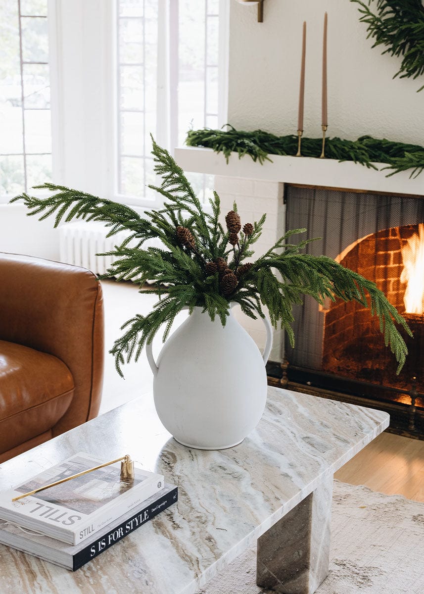 Afloral Norfolk Pine Branch and Pine Cones Styled in Jug Vase