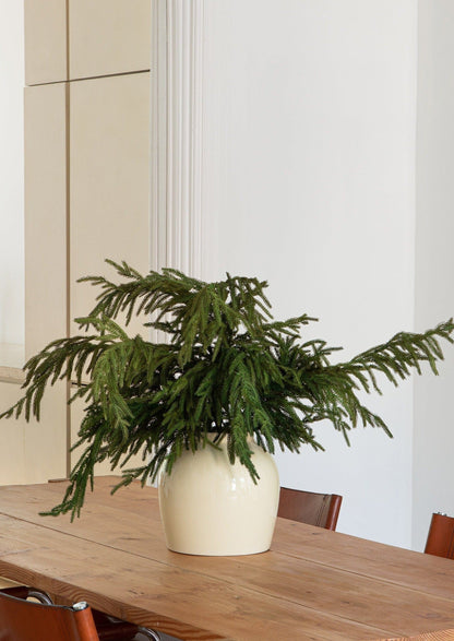 Faux Norfolk Pine Branches Styled in Cream Glossy Vase