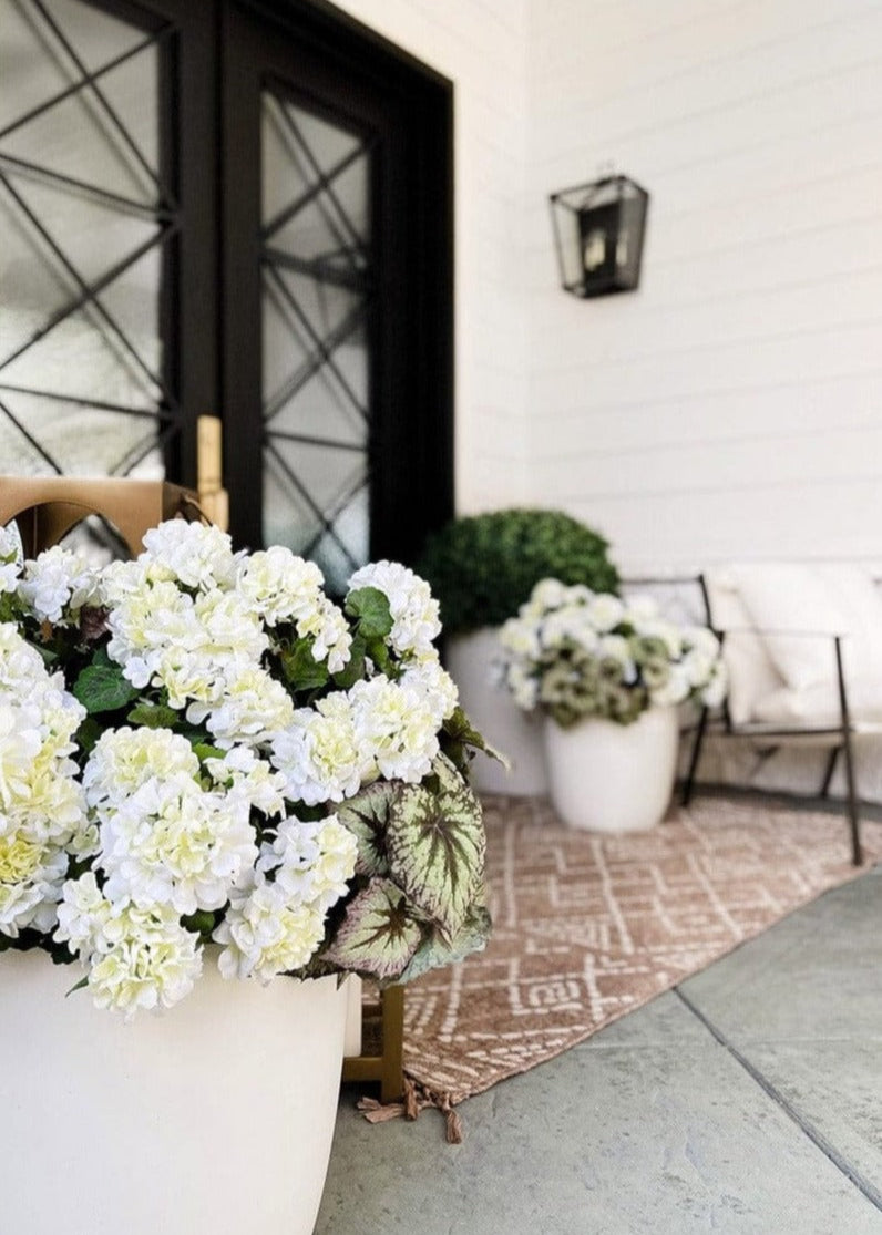 White Geranium Bushes Outdoor Styling