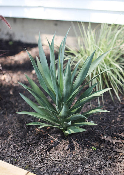 Faux Plants Artificial Yucca Planted in Ground
