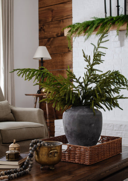 Afloral Real Touch Norfolk Pine Branches in Concrete Vase
